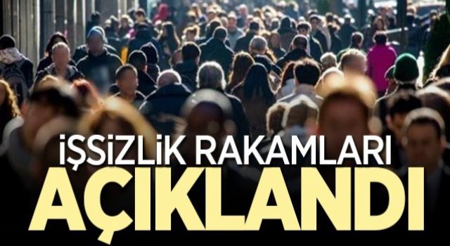 Aralık ayı işsizlik rakamları açıklandı