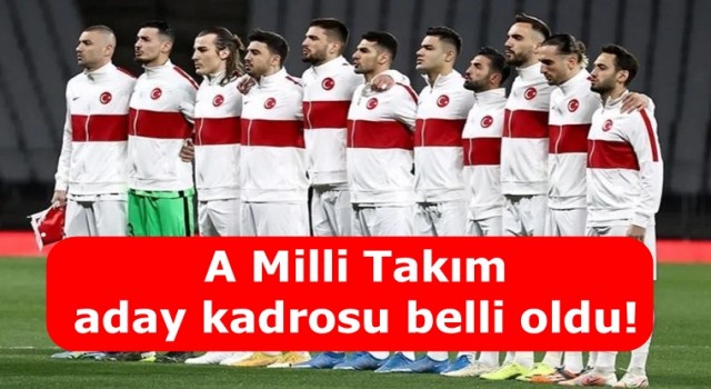 A Milli Takım aday kadrosu belli oldu