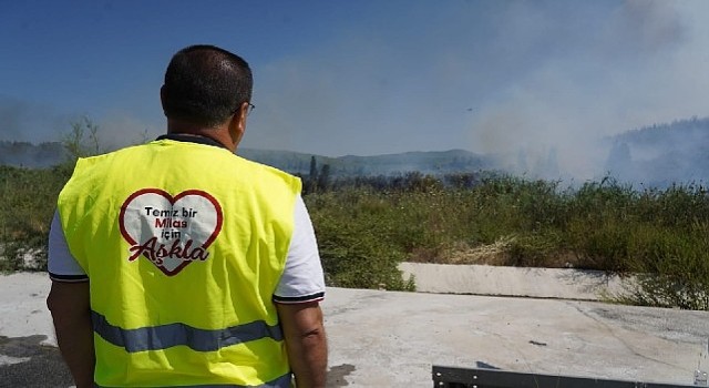 Milas’taki yangına canhıraş mücadele sürüyor