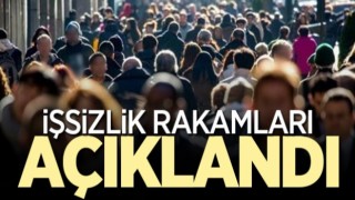 İşsizlik rakamları açıklandı