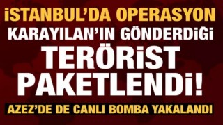 PKK'ya üst üst darbeler: Canlı bomba ve Karayılan'ın talimat verdiği Mehdi Mıhçı yakalandı