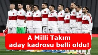 A Milli Takım aday kadrosu belli oldu