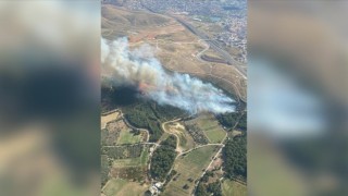 İzmir'de çıkan orman yangını kontrol altına alındı