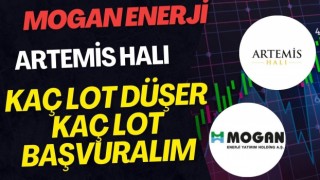 SPK, Mogan Enerji ve Artemis Halı'nın Halka Arz Süreçlerini Onayladı: Yeni Yatırım Fırsatları Kapıda!